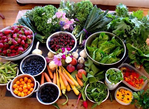 Image result for Food Waste Disposer Process