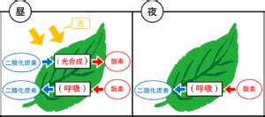 Learn OS Module Python From Beginning に対する画像結果