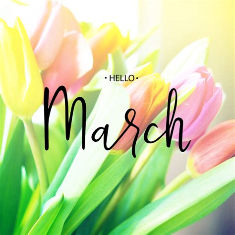 The Perfect March Garden: What Flowers to Plant and Jobs to Do ...