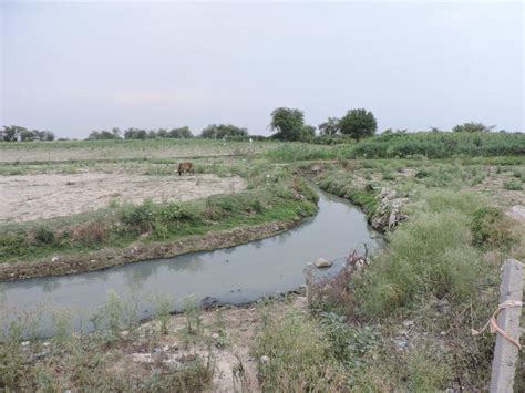 Sewage Flows into Yamuna unabated despite NGT’s Order - Vrindavan Today