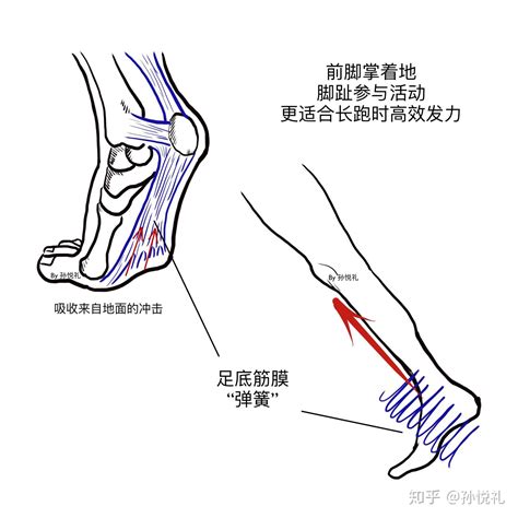 跑步 的图像结果