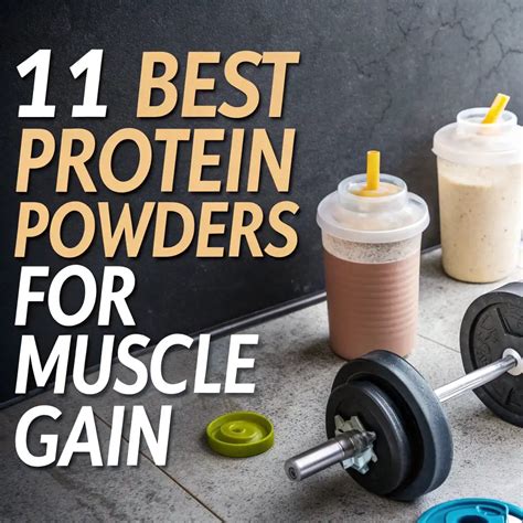 11 Best Protein Powders For Muscle Gain