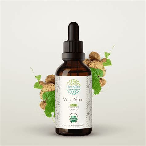 HerbEra Wild Yam Tincture, Organic Herbal Dietary Supplement for ...