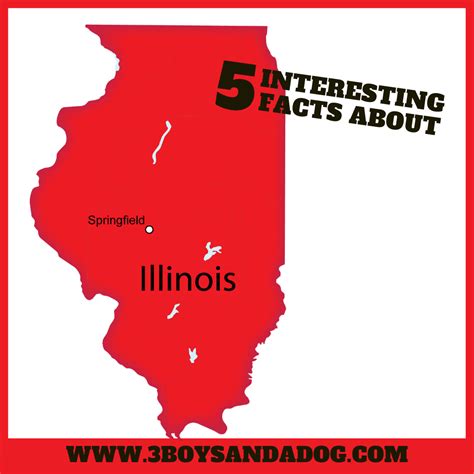 Interesting Facts about Illinois Story - 3 Boys and a Dog