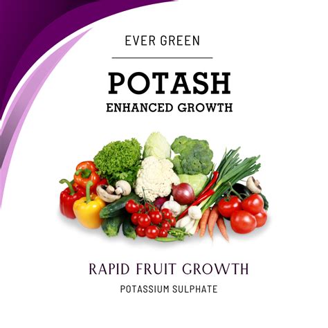 Potash Fertilizer SOP – Boost Flowering and Fruiting in Plants – Moji Mall