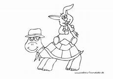 ausmalbild hase mit der roten nase hase mit karotte sitzt auf schildkr 246 te nadines ausmalbilder ausmalbild hase mit der roten nase hase mit karotte sitzt auf schildkr 246 te nadines ausmalbilder