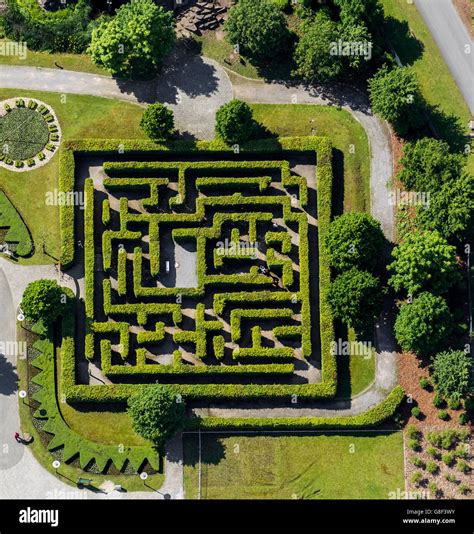 Simple Hedge Maze