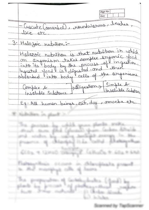 Life Process 的图像结果