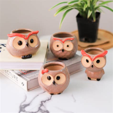Owl Planter Online - Premium Planter | Nestasia