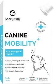 GOOFY TAILS CANINE MOBILITY LIQUID – Surya Vets