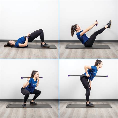 Buy Synergee Workout Bar - 5lb - Padded Weighted Bars ? Body Bar Toning ...