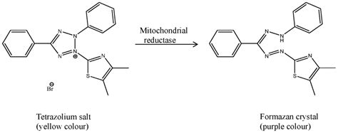 Development of Drug Delivery Systems Based on Layered Hydroxides for ...
