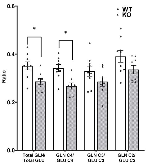 Perturbed Brain Glucose Metabolism Caused by Absent SIRT3 Activity