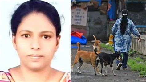 Shocking death: Doglover Stephin dies of rabies - KERALA - GENERAL ...
