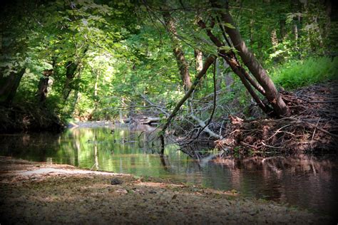 My picture pages: Hidden Pond Nature Center - Fairfax, Virginia