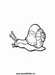 malvorlagen kinder schnecken ausmalbilder schnecke schnecken malvorlagen malvorlagen kinder schnecken ausmalbilder schnecke schnecken malvorlagen