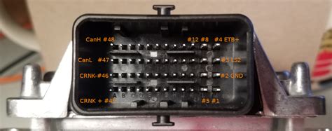 Image result for Delphi Activator