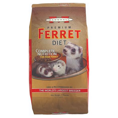 8 Best Ferret Foods of 2026 - Reviews & Top Picks | The Vet Desk