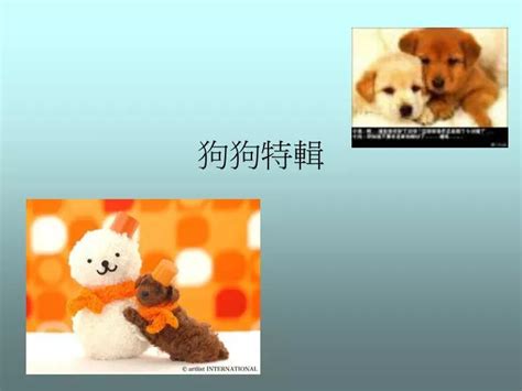 Image result for Selenium Java Code Examples