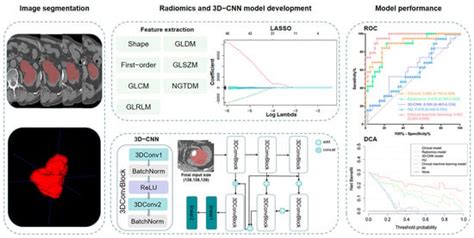 Identification of Calculous Pyonephrosis by CT-Based Radiomics and Deep ...