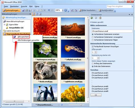 Bilder komprimieren mit Microsoft Office Picture Manager – Supportnet