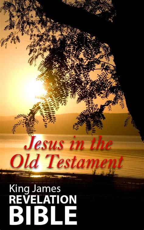 Jesus in the Old Testament (Bible Studies Book 2) eBook : Hooper, Brett ...