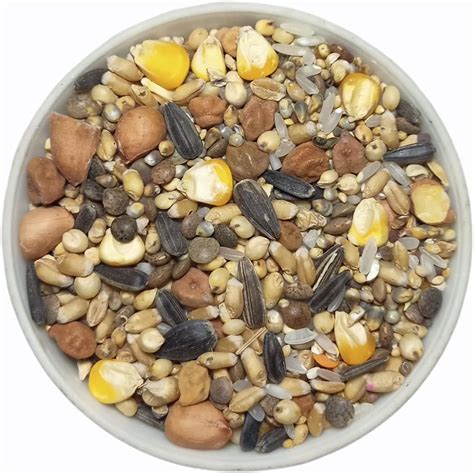 Buy Grower Bird Food Seeds Blend of 12 Grains and Nuts for Adult Wild ...