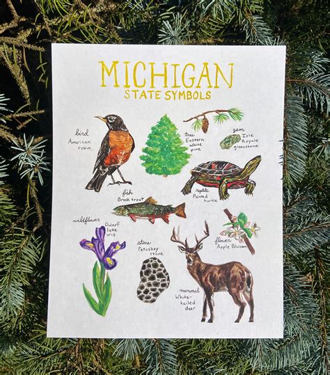 Michigan State Symbols | Brush & Bark