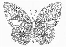 malvorlage schmetterling erwachsene schmetterling 15 ausmalbilder f 252 r erwachsene malvorlage schmetterling erwachsene schmetterling 15 ausmalbilder f 252 r erwachsene