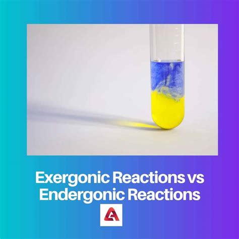 Exergonic Vs Endergonic Reactions