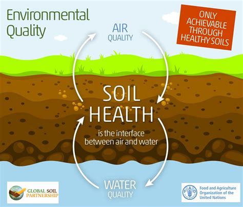 Soil Health: Key to Achieving the Sustainable Development Goals