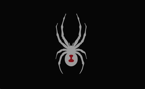SPYDER 这个蜘蛛logo奢侈品牌你了解多少~-美乐淘潮牌汇