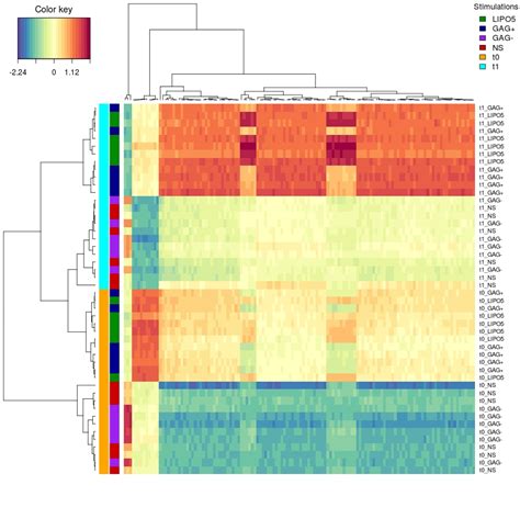 CIM Expression 的图像结果