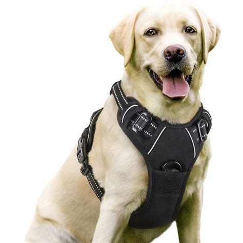 Buy rabbitgoo Dog Harness Large Dog No Pull Pet Harness with 2 Leash ...