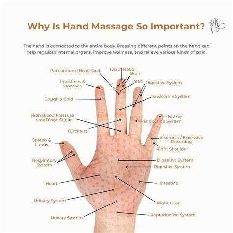 Dezire Hand Massager with Heat & Air Compression – My Dezire