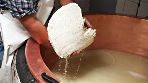 Image result for How to Make Processed Cheese