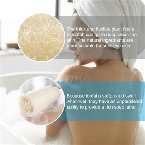 Body Loofah - Natural Body Scrub Loofah Trader - Wholesaler ...