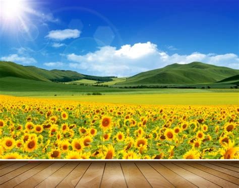 Avikalp MWZ2521 Sun Mountains Sunflowers Grass Clouds HD Wallpaper ...