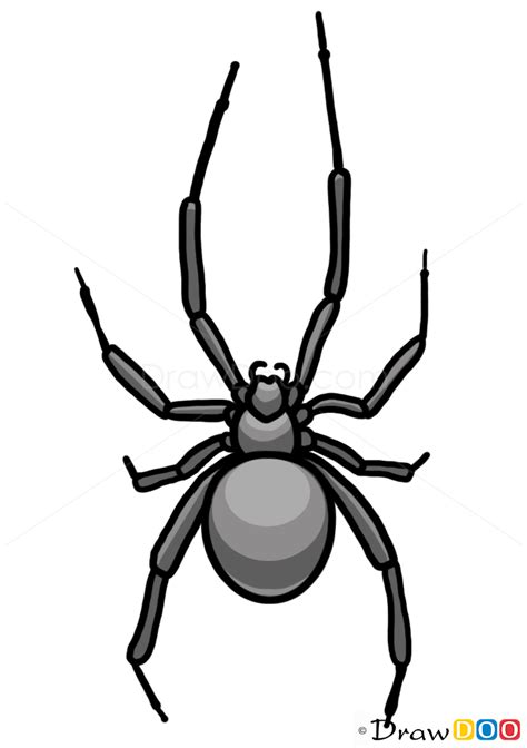 How To Draw A Spider Easy For Kids : It was drawing tutorial about how ...
