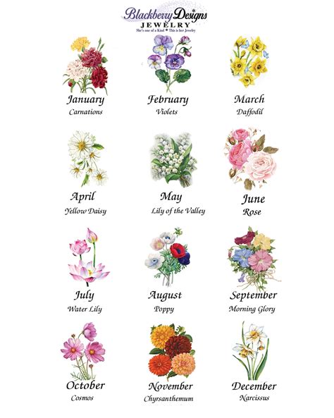 October Birth Month Flower