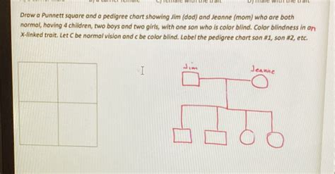 Image result for Inset Box-Shadow Color in CSS Generator
