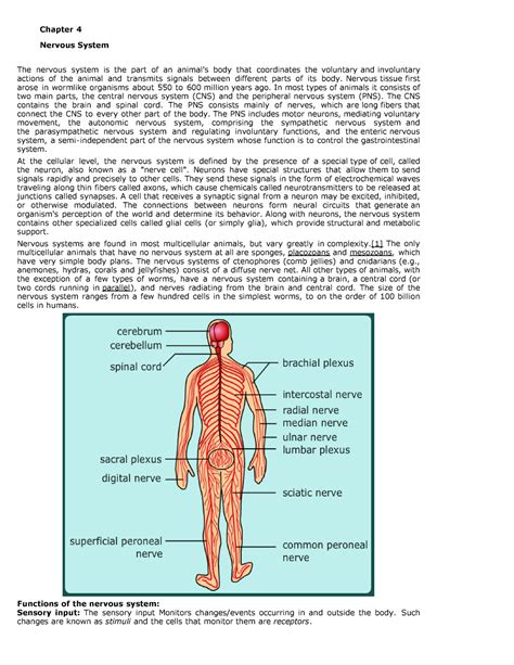 Lec4-Nervous System - Chapter 4 Nervous System The nervous system is ...