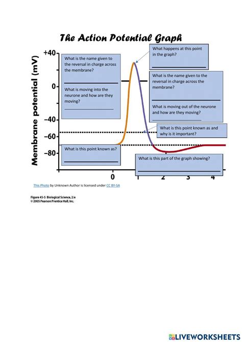 Action Potential Graph 的图像结果