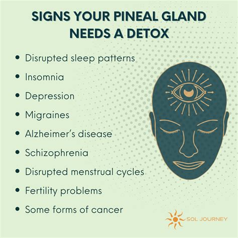 20 ways to detox decalcify and boost the pineal gland naturally – Artofit