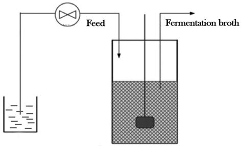 Image result for Continuous Fermentation