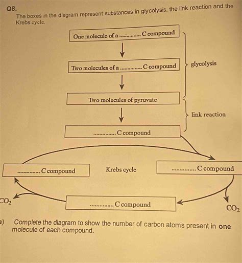 Solved: The boxes in the diagram represent substances in glycolysis ...