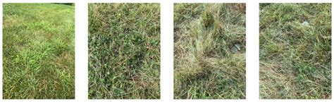 Deep Learning-Based Real-Time Detection of Surface Landmines Using ...