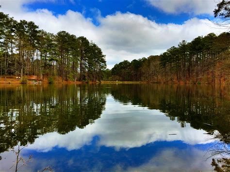 Aldridge Gardens | Picture Birmingham