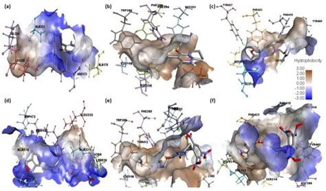 Enhancing the Antipsychotic Effect of Risperidone by Increasing Its ...