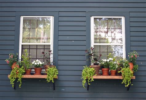 How to plant a window box garden – Artofit